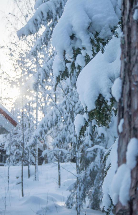 Villa Kurpitsa At Messila Ski & Camping Hollola 外观 照片